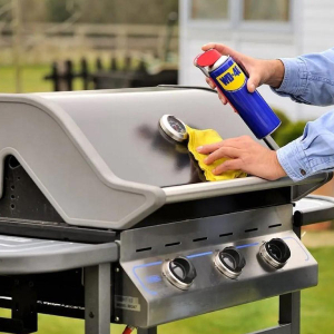 Inicio 17 Categoria lubricacion